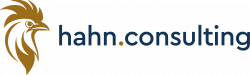 Logo hahn.consulting